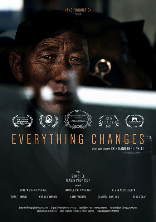 EVERYTHING CHANGES poster