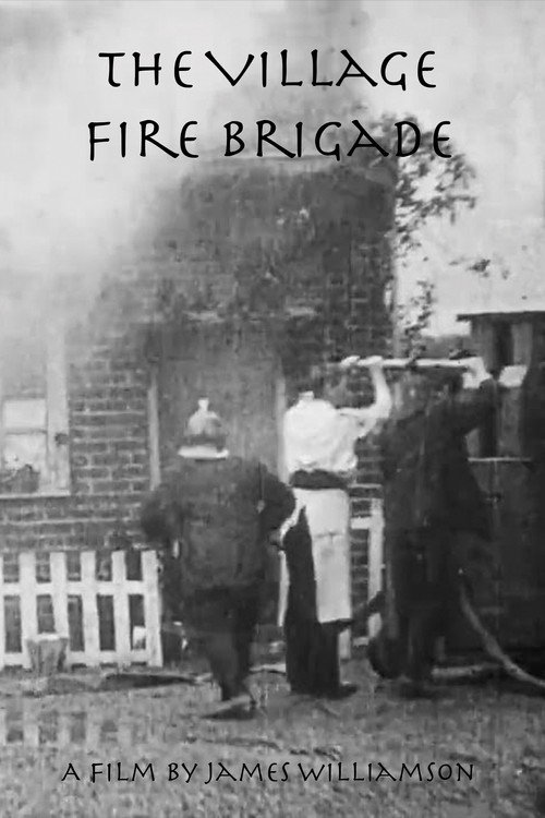 The Village Fire Brigade (1907) poster
