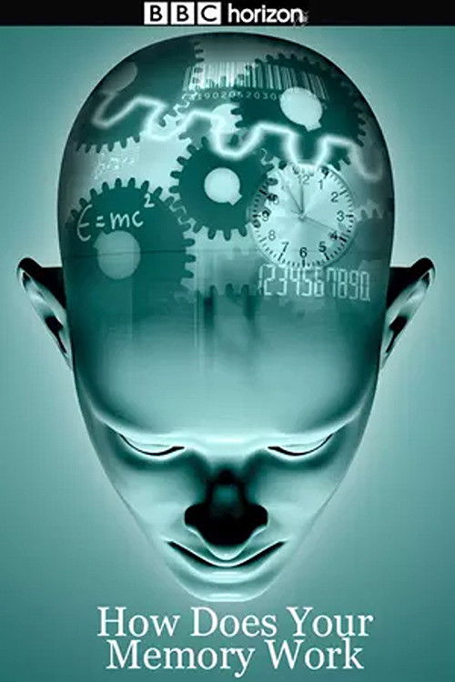 Horizon: How Does Your Memory Work? (2008) poster