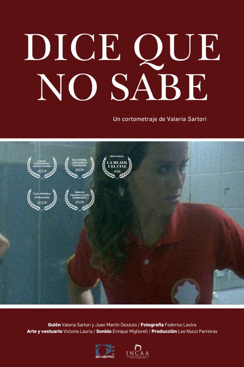Dice que no sabe (2008) poster