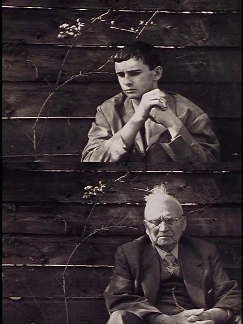 Filmmaker's Holiday (1974) poster