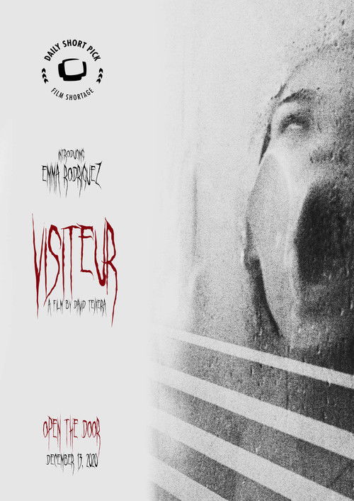 Visitor (2020) poster