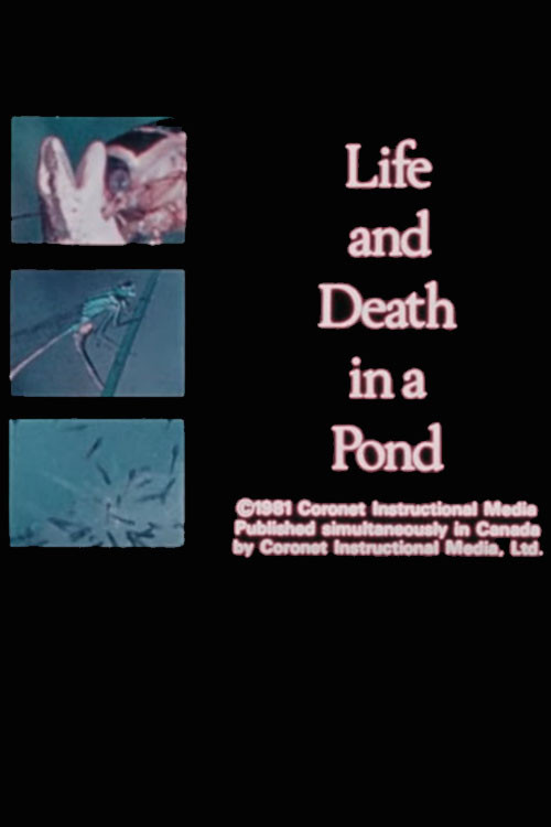 Life and Death in A Pond (1981) poster