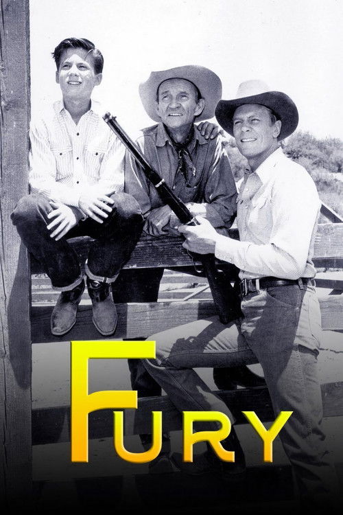 Fury (1955) poster