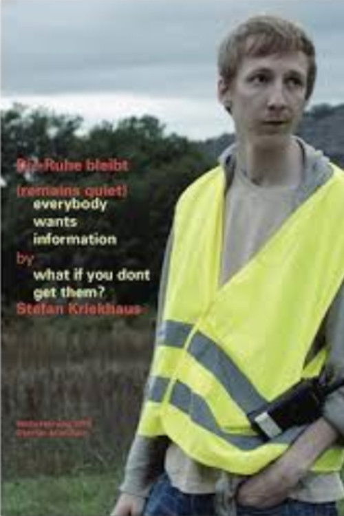 Remains Quiet (2013) poster