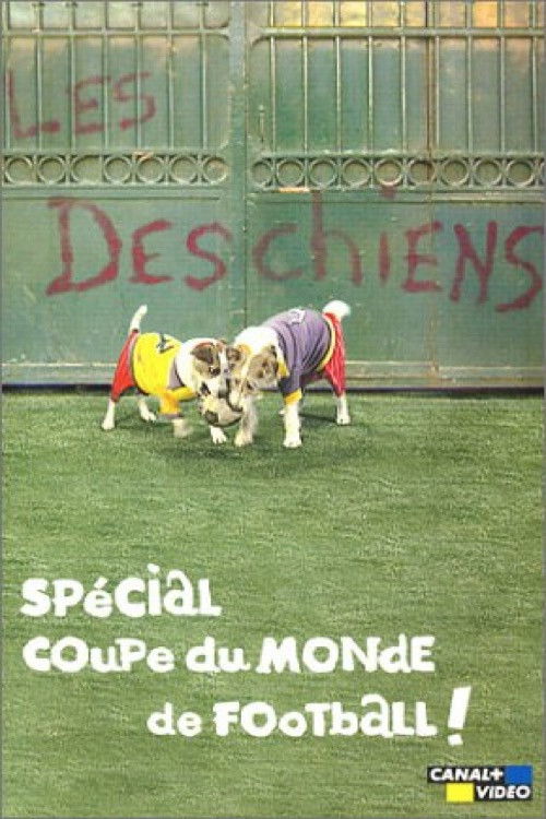 Les Deschiens - Spécial Coupe du Monde de football (2002) poster