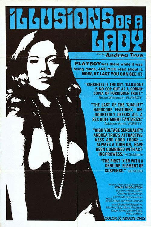 Illusions of a Lady (1974) poster
