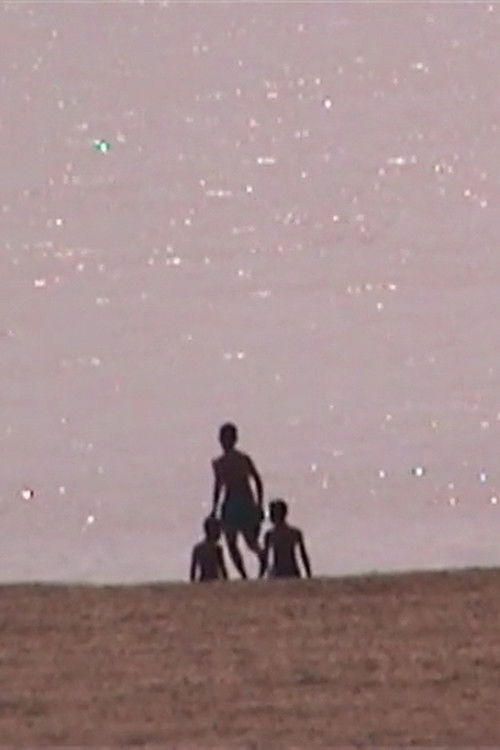 L'Île éphémère (2005) poster