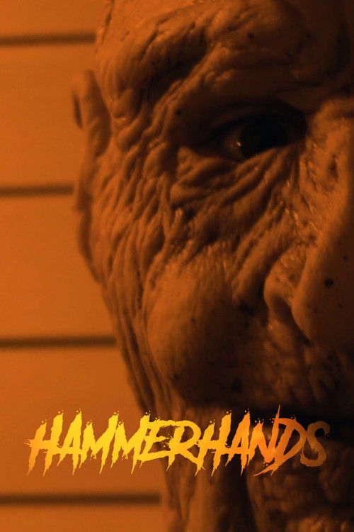 HammerHands (2019) poster