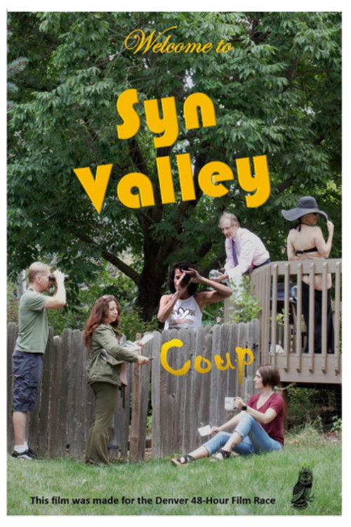 Syn Valley Coup (2024) poster