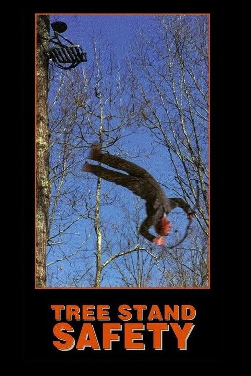 Tree Stand Safety (1997) poster