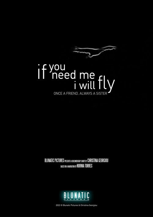 If You Need Me, I Will Fly (2023) poster