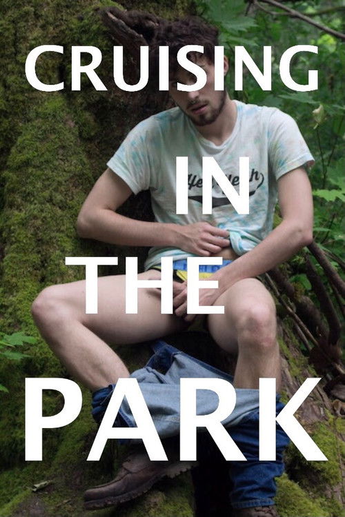 Cruising in the Park (2018) poster