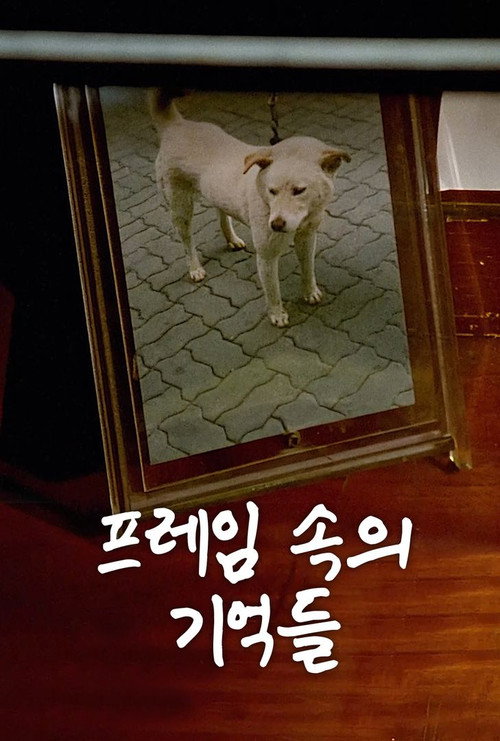 프레임 속의 기억들 (1994) poster