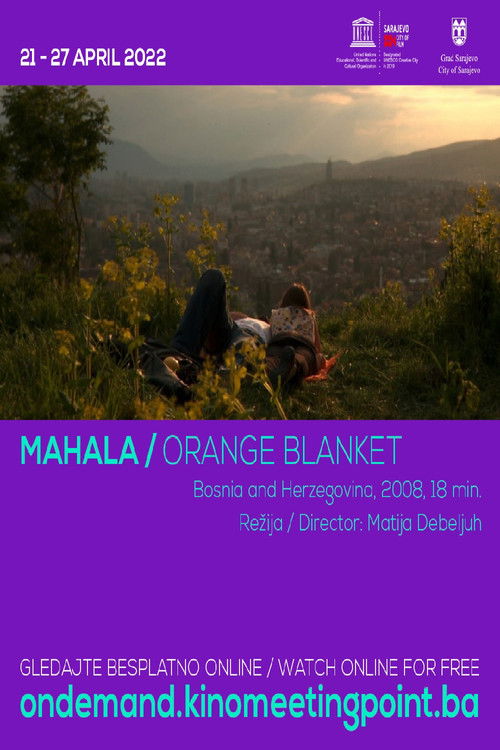 Orange Blanket (2008) poster