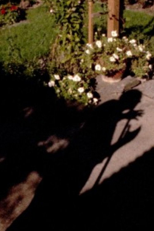 Out in the Garden (1991) poster