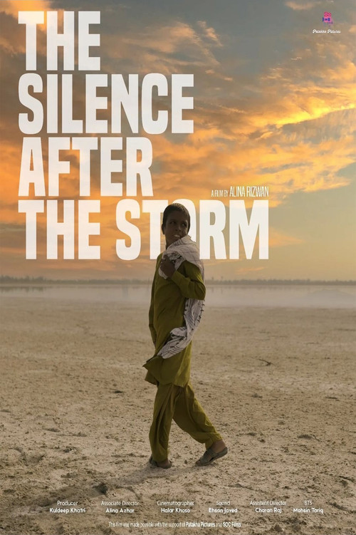 The Silence After The Storm (2024) poster