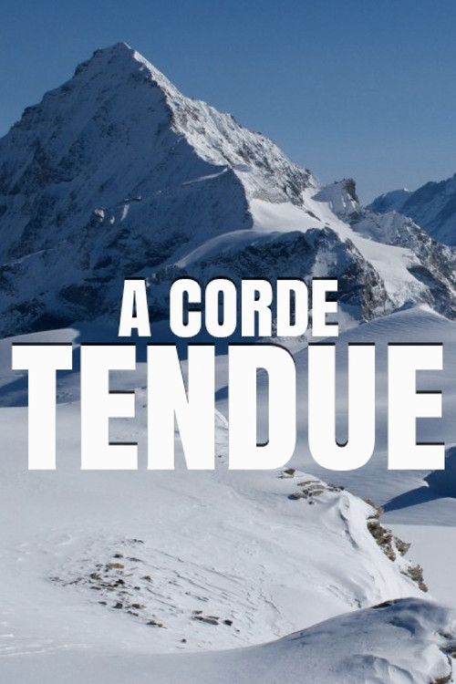 À corde tendue (2013) poster