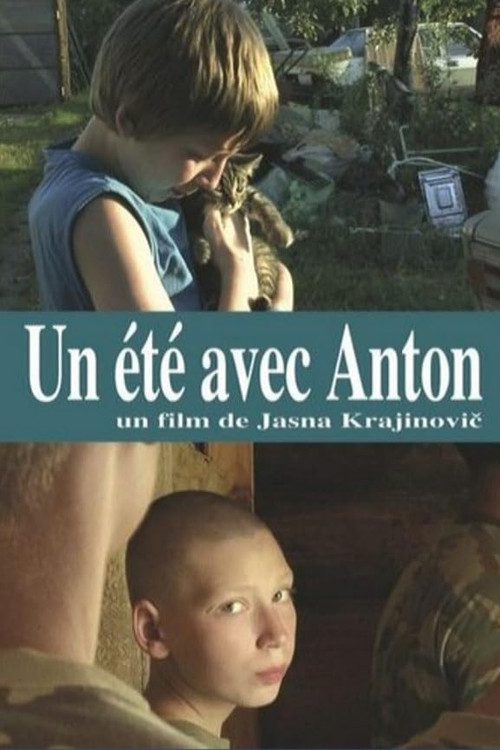 Summer with Anton (2012) poster