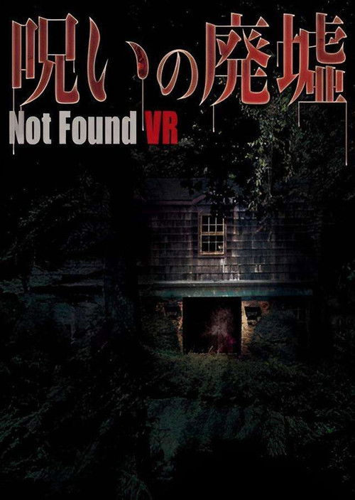 Not Found VR: Ruins of the curse (2018) poster