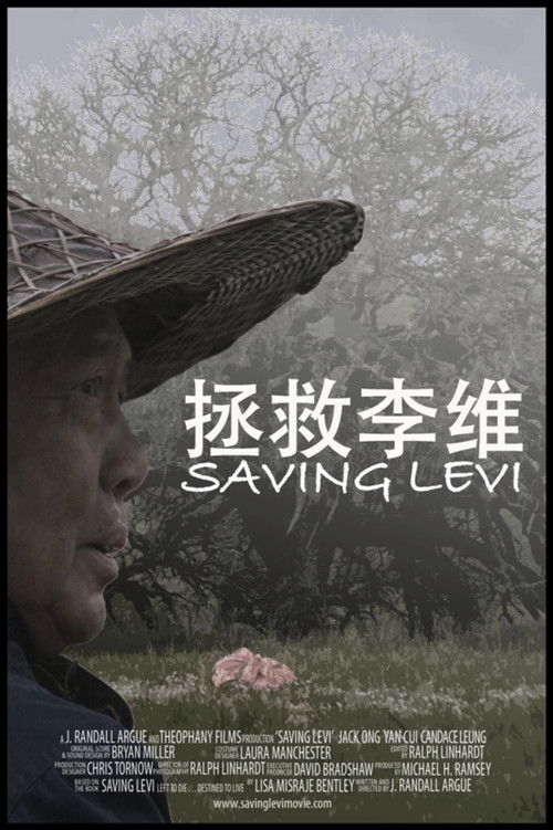 Saving Levi (2009) poster