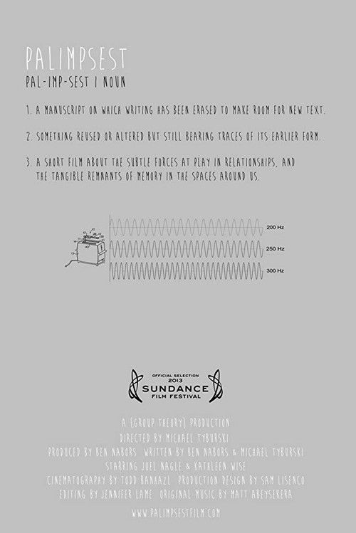 Palimpsest (2013) poster
