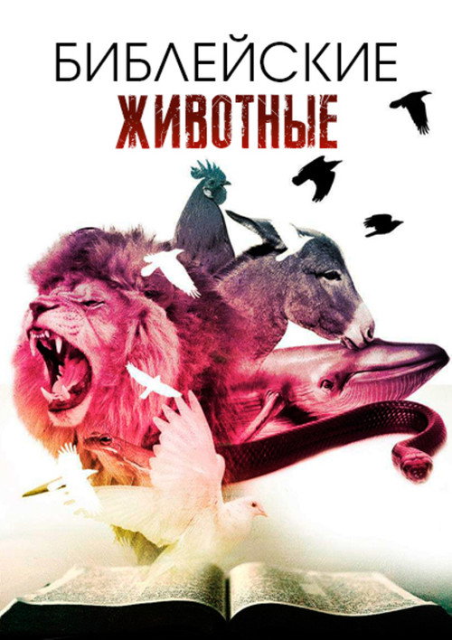 Animals of the Bible poster