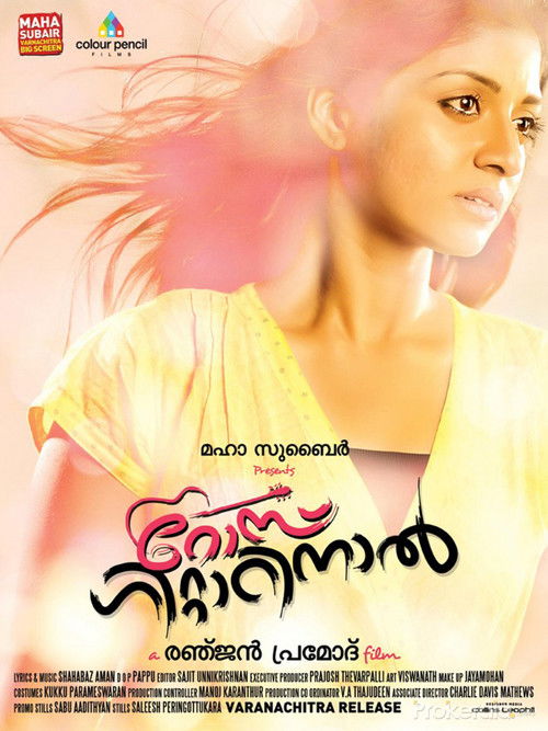 റോസ് ഗിറ്റാറിനാൽ (2013) poster
