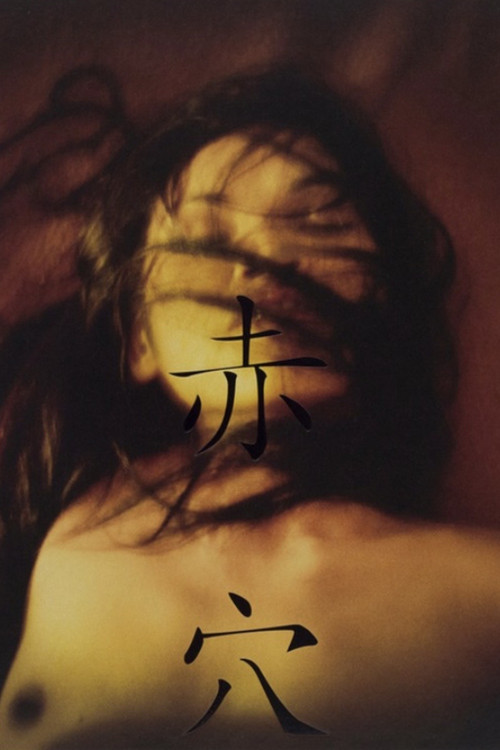 Aka Ana (2008) poster