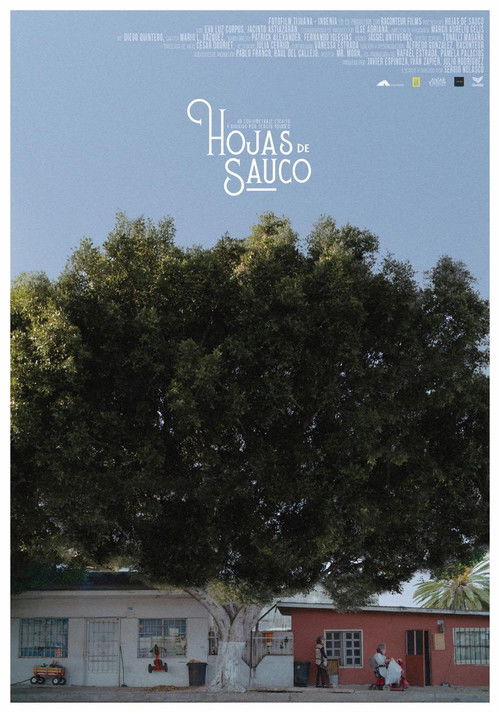 Hojas de Sauco (2021) poster