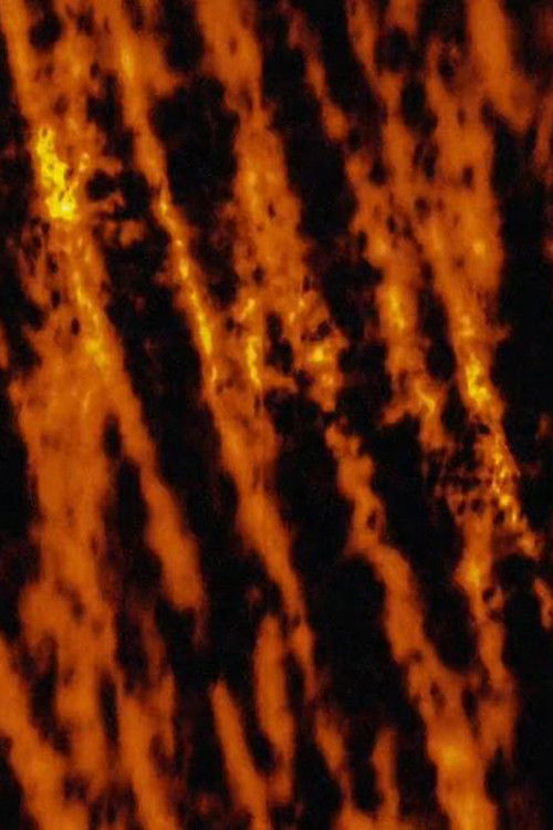 Hojas de Maíz (2002) poster