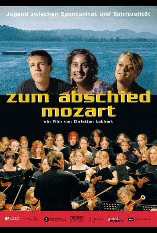 Zum Abschied Mozart (2007) poster