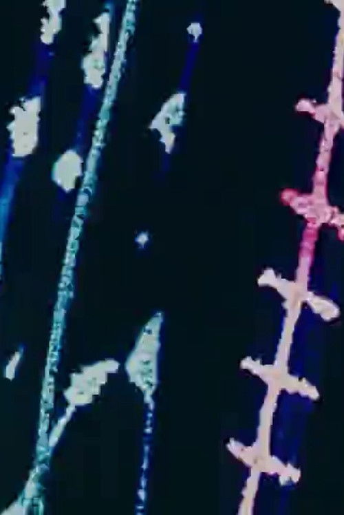 Desenho Abstrato n° 2 (1989) poster