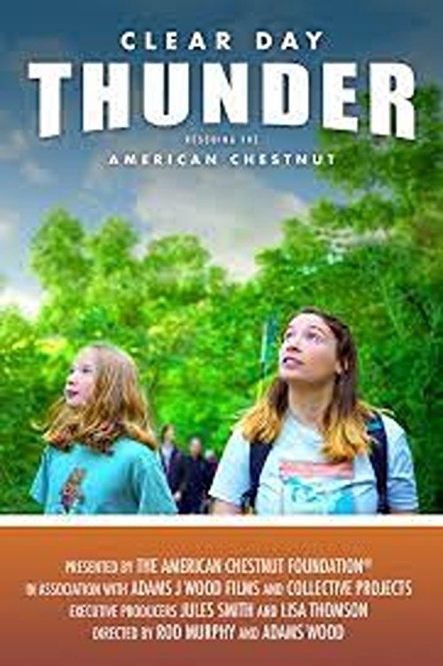 Clear Day Thunder: Rescuing the American Chestnut (2023) poster