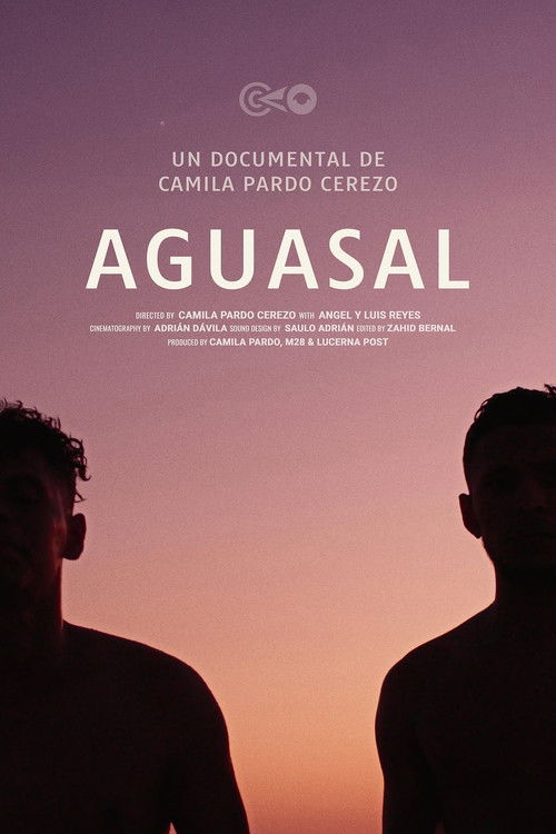 Aguasal (2025) poster