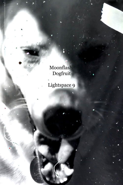 Moonflash Dogfruit poster