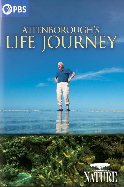 Attenborough's Life Journey (2024) poster