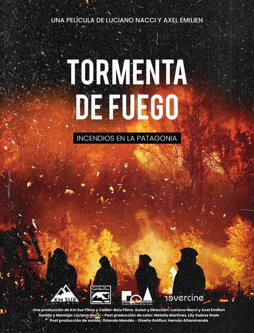 Tormenta de fuego: Incendios en la Patagonia (2024) poster
