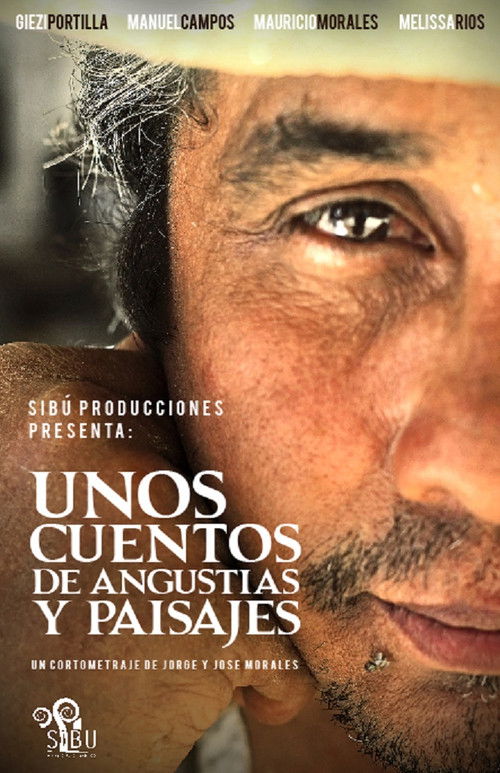 Unos cuentos de Angustias y Paisajes (2015) poster