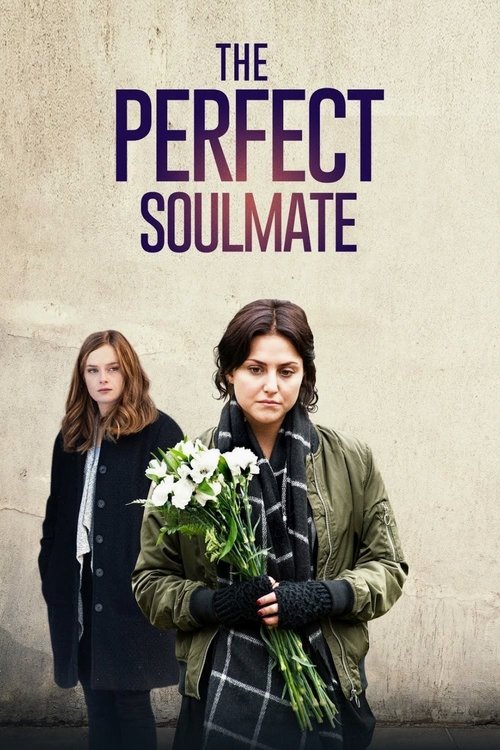 The Perfect Soulmate (2017) poster