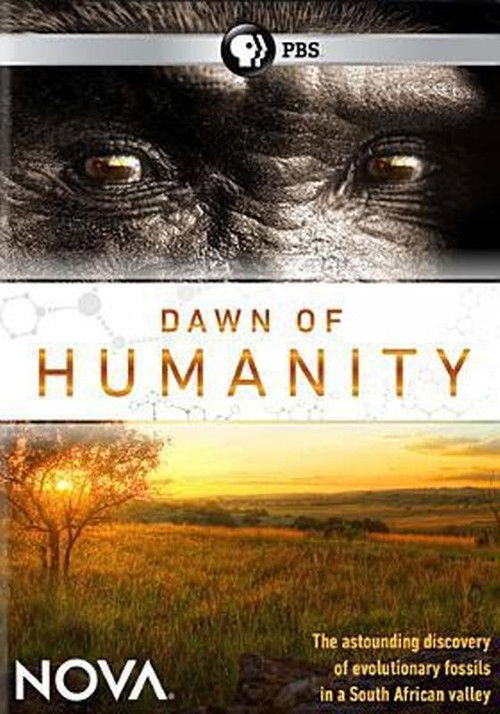 Dawn of Humanity (2015) poster