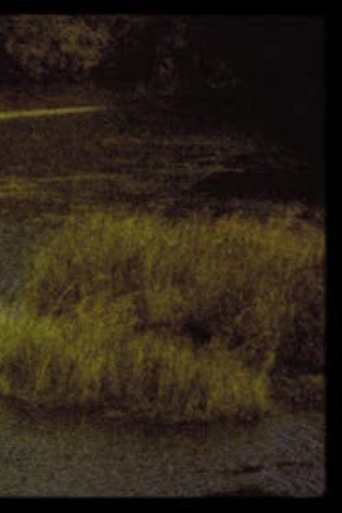 Trazos (2016) poster