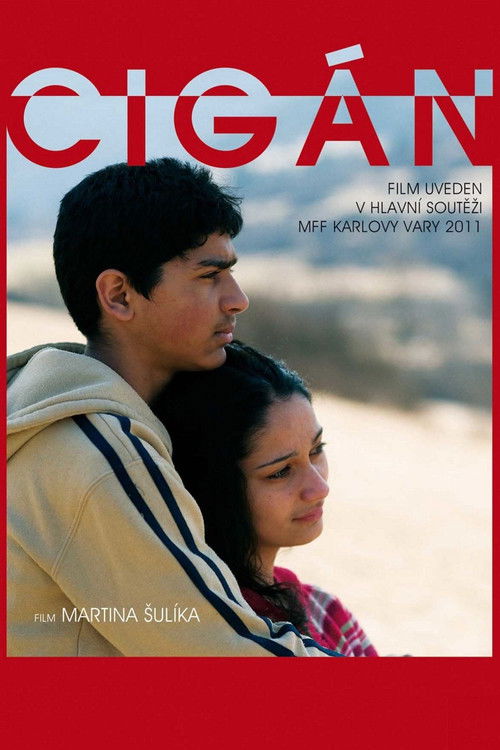 Cigán (2011) poster