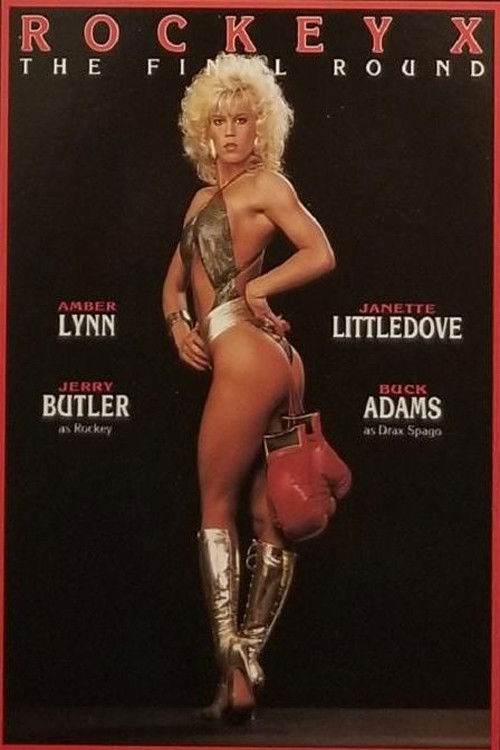 Rockey X 2: The Final Round (1988) poster