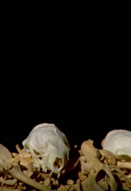 Wayward Fronds (2014) poster