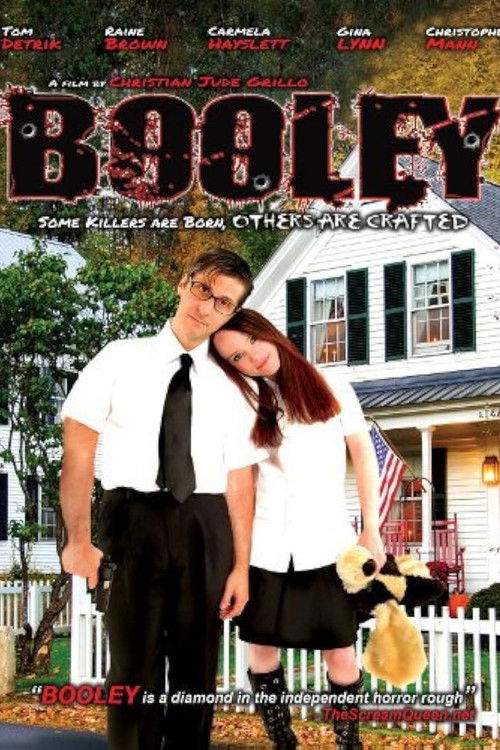 Booley (2011) poster