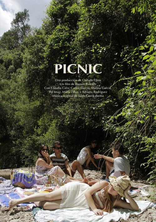 Picnic (2020) poster
