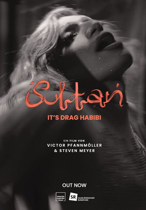 Sultan - It's Drag Habibi (2025) poster