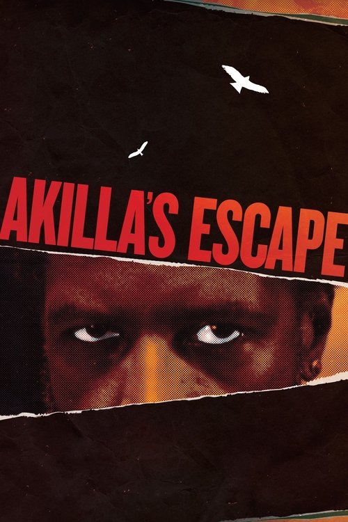 Akilla's Escape (2021) poster