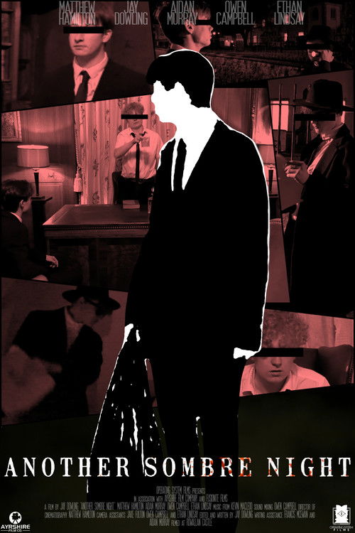 Another Sombre Night (2024) poster